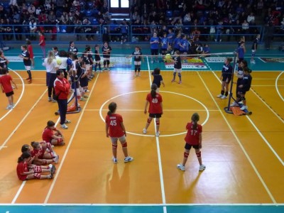 volley2